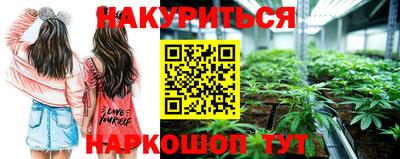 гашик Кулебаки