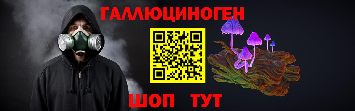 Галлюциногенные грибы Psilocybine cubensis Камышлов